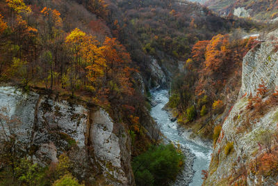 Scenic view of waterfall in forest