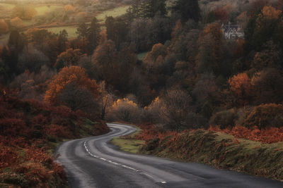 Road amidst trees in forest in autumn