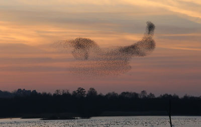 Silhouette trees by lake against orange sky