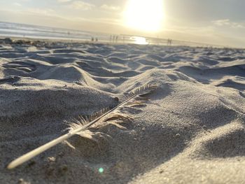 Scenic view of beach against sky during sunset