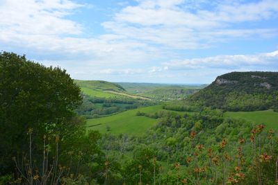 Scenic view of landscape against cloudy sky