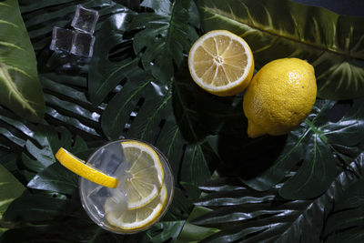 High angle view of fruits