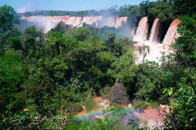 Scenic view of waterfall in forest