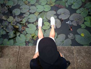 Low section of woman sitting by plants