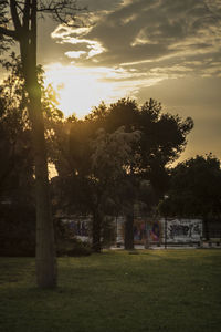 Trees in park against sky during sunset