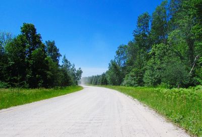 Empty country road along trees