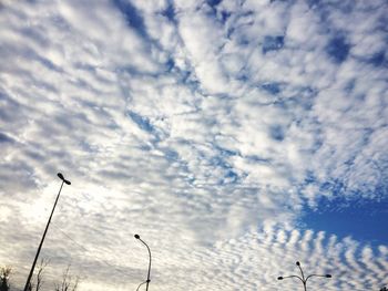 Low angle view of bird flying against sky