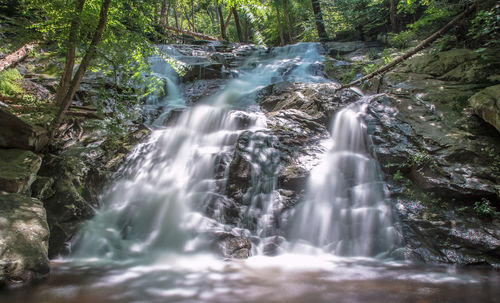 Waterfall in forest