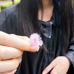 Midsection of woman holding purple flower