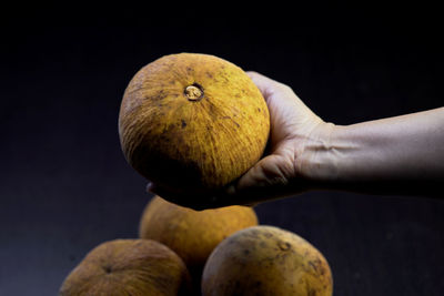 Close-up ripe santol fruit on human hand