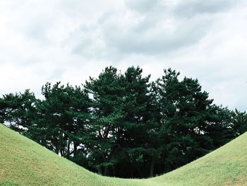 Trees on field against sky