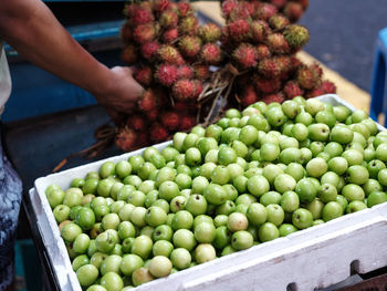 Midsection of man holding fruits
