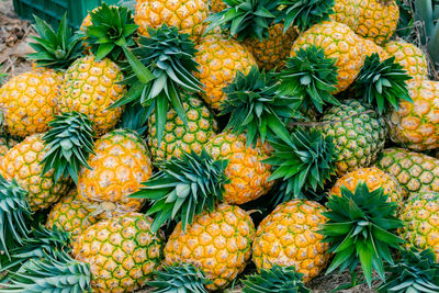 Full frame shot of pineapple for sale at market