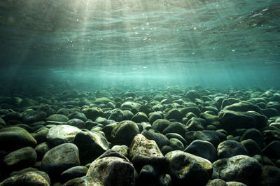 Close-up of rocks in sea