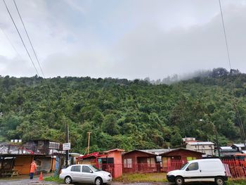 Vehicles on road against plants and trees against sky