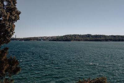 Scenic view of sea against clear sky