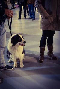 Low section of people standing on street