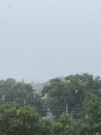 Scenic view of trees against sky