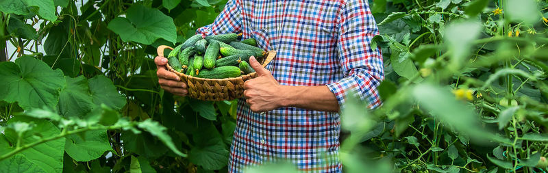 Midsection of woman standing amidst plants