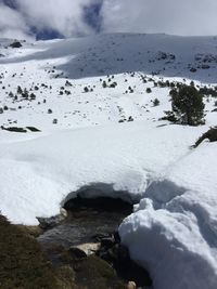 Flock of birds on snowcapped mountain against sky