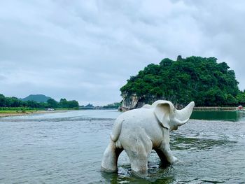 Elephant trunk hill