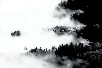 Panoramic view of trees on landscape against sky