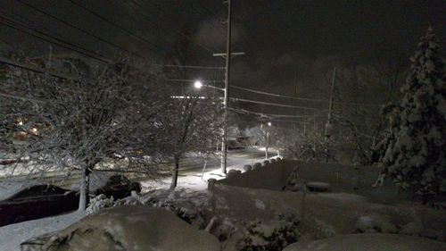 Snow covered trees against sky at night