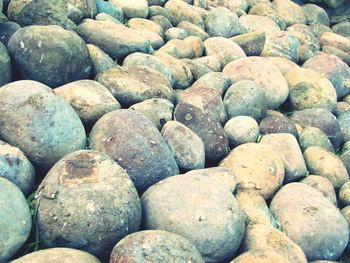 Full frame shot of pebbles at beach