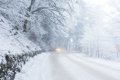 A road in the winter forest. beautiful winter landscape with coniferous forest 