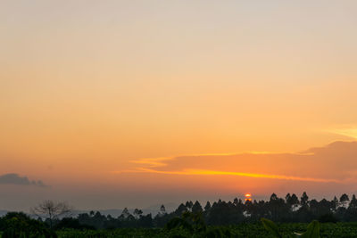 Scenic view of field against sky during sunset