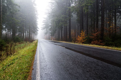 Empty road amidst trees in foggy forest