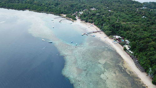 High angle view of trees on beach