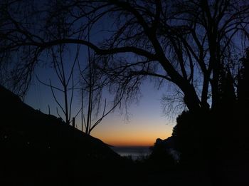 Silhouette trees against sky during sunset
