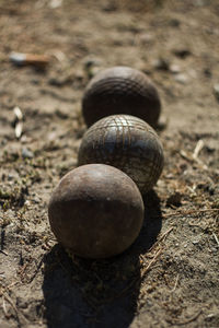 Close-up of snail