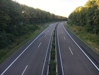 Empty road along trees and plants