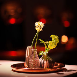 Close-up of rose in glass vase on table