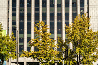 Low angle view of building