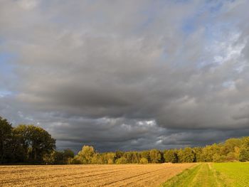 Scenic view of agricultural field against sky