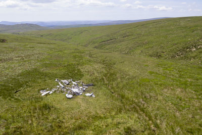 High angle view of green landscape