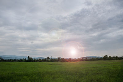 Scenic view of field against sky