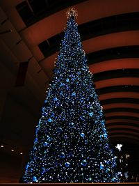 Low angle view of illuminated christmas tree