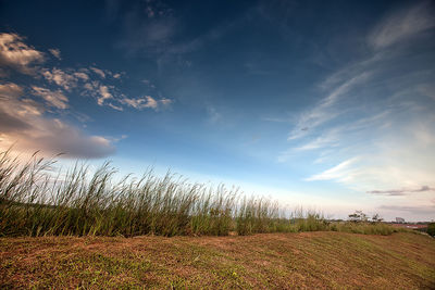 Scenic view of field against cloudy sky