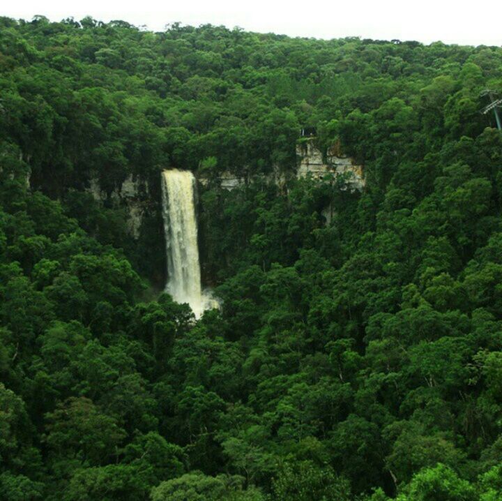 Salto Encantado Misiones Argentina