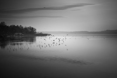 Birds in lake against sky
