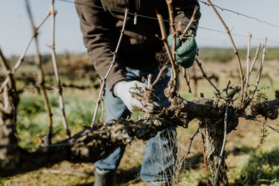 Low section of man working on field