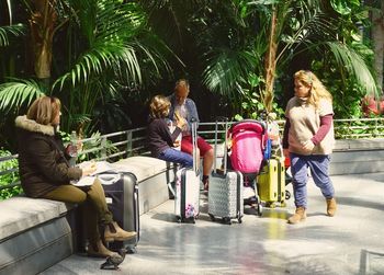 Rear view of friends sitting on palm tree