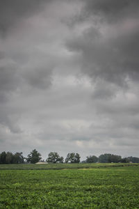 Scenic view of grassy field against cloudy sky