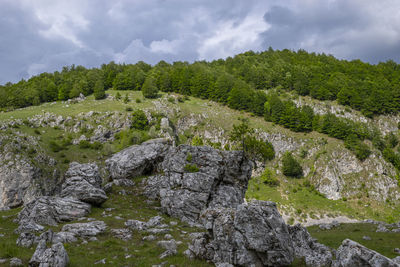 Rocks on landscape against sky