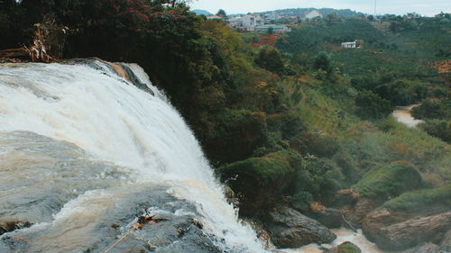 Scenic view of waterfall in forest