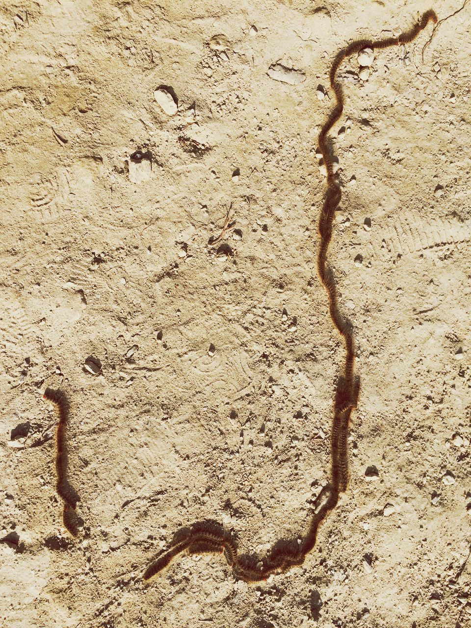 full frame, textured, backgrounds, sand, close-up, beach, high angle view, pattern, footprint, no people, weathered, rough, wall - building feature, day, old, outdoors, detail, damaged, cracked, wall